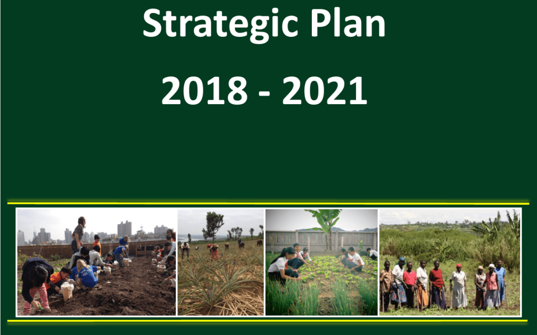 Strategic Plan 2018 – 2021