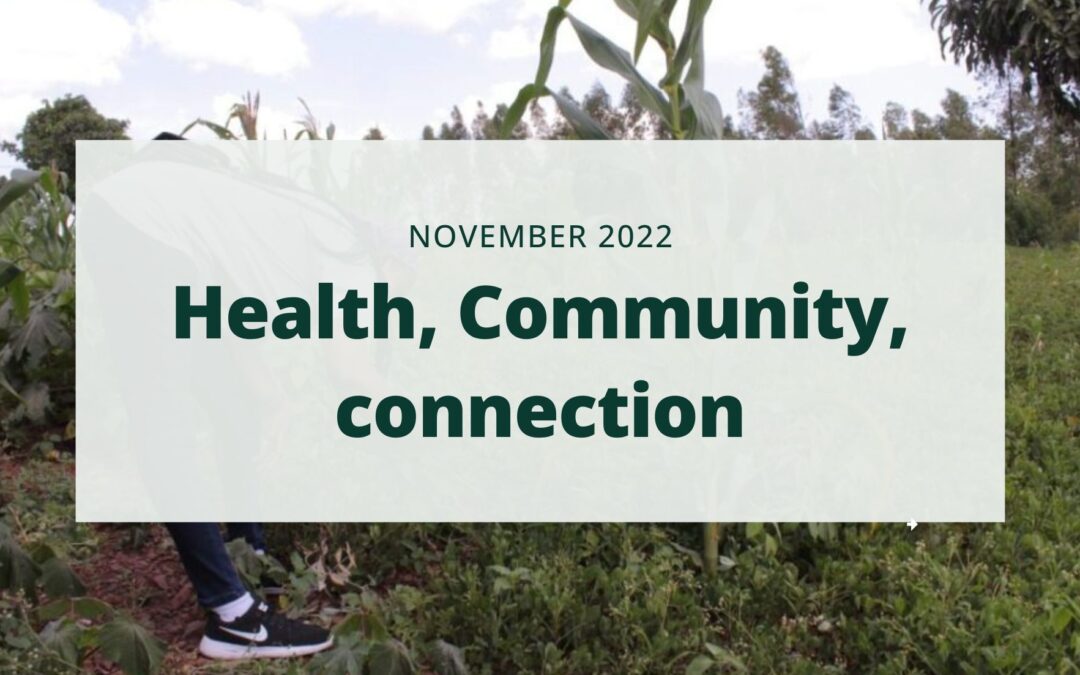 November 2022 Newsletter